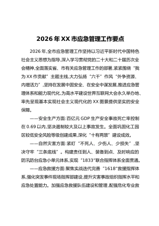 2026年XX市应急管理工作要点