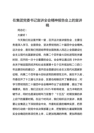 在集团党委书记宣讲二十届四中全会精神报告会上的宣讲稿