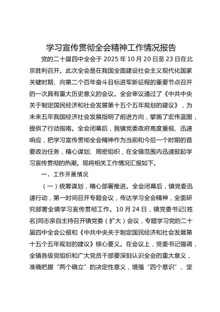 学习宣传贯彻二十届四中全会精神工作情况报告