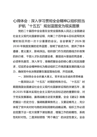 心得体会：深入学习贯彻全会精神 以组织担当护航“十五五”规划蓝图变为现实图景