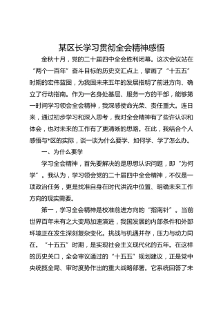 某区长学习贯彻全会精神感悟