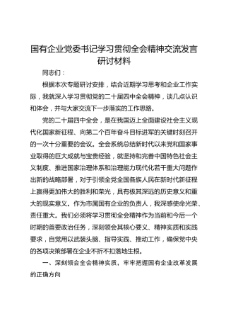 国有企业党委书记学习贯彻党的二十届四中全会精神交流发言研讨材料