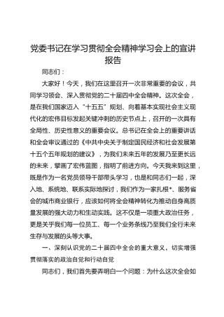 党委书记在学习贯彻二十届四中全会精神学习会上的宣讲报告