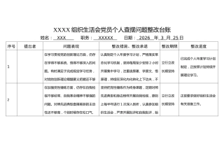 2025年度组织生活会个人问题整改台账