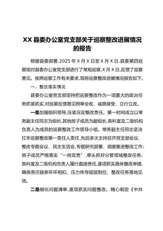 XX县委办公室党支部关于巡察整改进展情况的报告