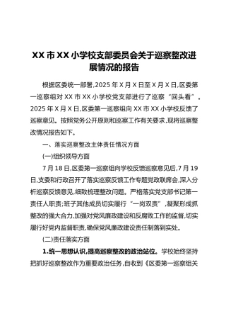 XX市XX小学校支部委员会关于巡察整改进展情况的报告