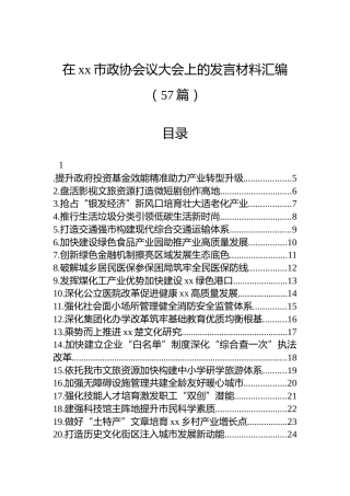 在xx市政协会议大会上的发言材料汇编（57篇）