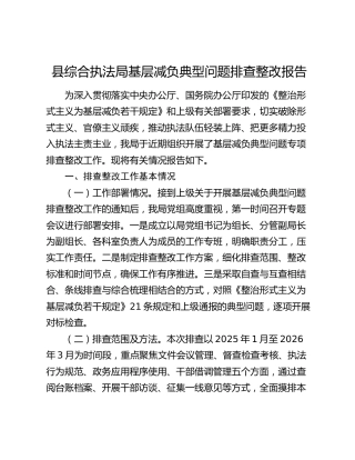 县综合执法局基层减负典型问题排查整改报告