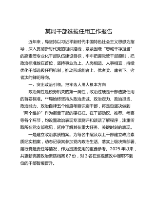 某局干部选拔任用工作报告