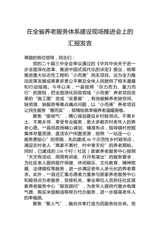 在全省养老服务体系建设现场推进会上的汇报发言