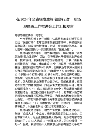 在2024年全省银发生辉·银龄行动”现场观摩暨工作推进会上的汇报发言