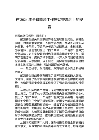 在2024年全省能源工作座谈交流会上的发言