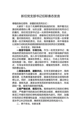 新任党支部书记任职表态发言