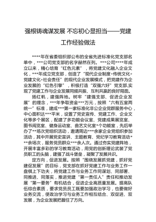 强根铸魂谋发展不忘初心显担当——党建工作经验做法