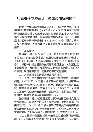街道关于党费审计问题整改情况的报告