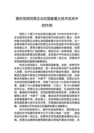 更好发挥民营企业在国家重大技术攻关中的作用