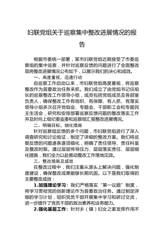 妇联党组关于巡察集中整改进展情况的报告