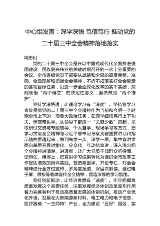 中心组发言：深学深悟笃信笃行推动党的二十届三中全会精神落地落实