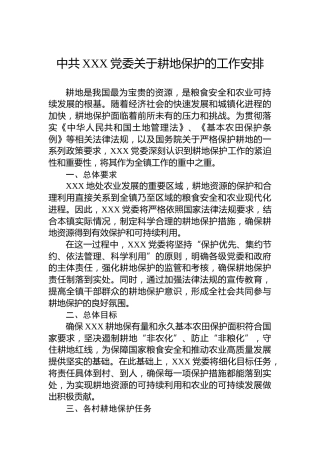 中共XXX党委关于耕地保护的工作安排