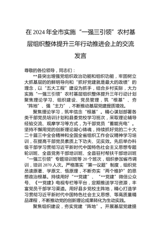 在2024年全市实施“一强三引领”农村基层组织整体提升三年行动推进会上的交流发言