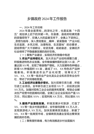 乡镇政府2024年工作报告