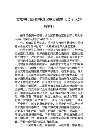 党委书记巡察整改民主专题生活会个人剖析材料