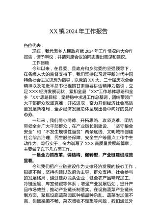 XX镇2024年工作报告