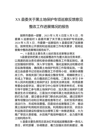 XX县委关于黑土地保护专项巡察反馈意见整改工作进展情况的报告