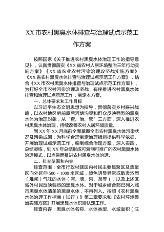 XX市农村黑臭水体排查与治理试点示范工作方案