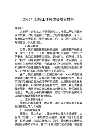 2025年纪检工作务虚会发言材料