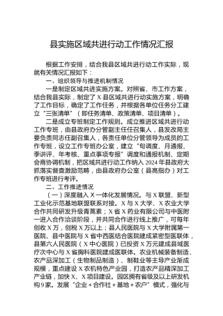 2024年县实施区域共进行动工作情况汇报