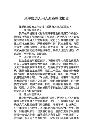 2024年某单位选人用人巡查整改报告