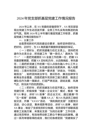 2024年党支部抓基层党建工作情况报告
