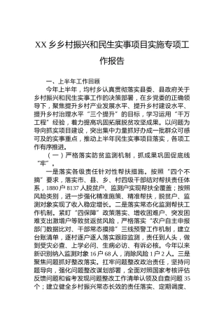 2024年XX乡乡村振兴和民生实事项目实施专项工作报告