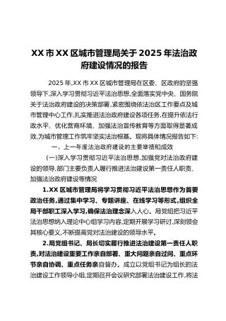 XX市XX区城市管理局关于2025年法治政府建设情况的报告