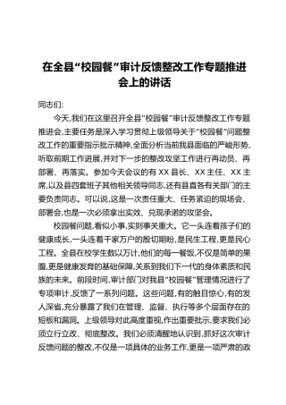 在全县“校园餐”审计反馈整改工作专题推进会上的讲话