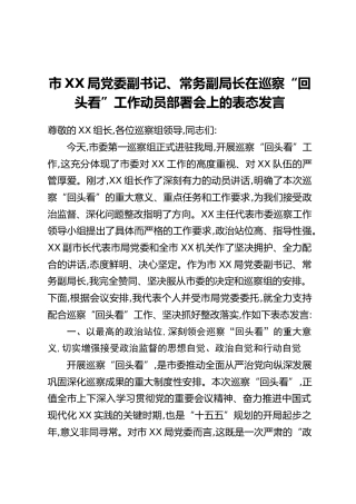 市XX局党委副书记、常务副局长在巡察“回头看”工作动员部署会上的表态发言
