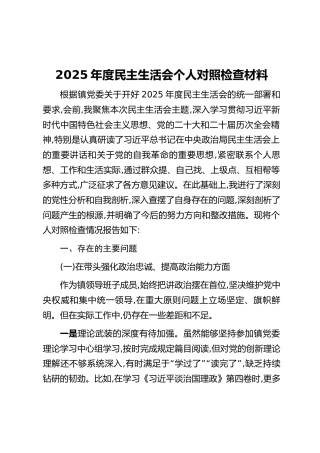 2025年度民主生活会个人对照检查材料_1