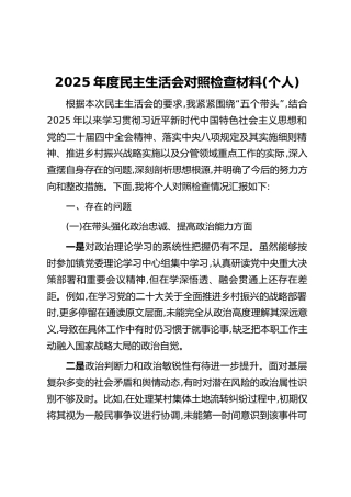 2025年度民主生活会对照检查材料(个人)