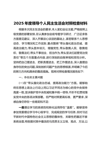 2025年度领导个人民主生活会对照检查材料