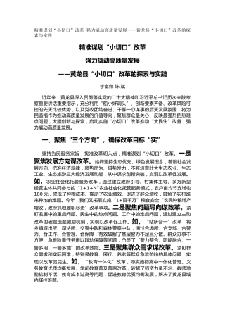 精准谋划“小切口”改革  强力撬动高质量发展（调研报告）