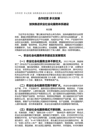 合作经营 多元发展 加快推进农业社会化服务体系建设（调研报告）