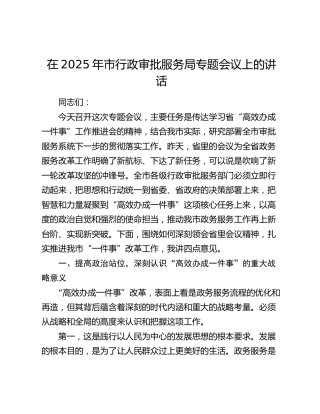 在市行政审批服务局专题会议上的讲话