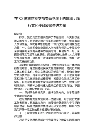 在XX博物馆党支部专题党课上的讲稿：践行文化使命凝聚奋进力量