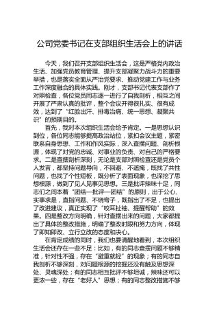 公司党委书记在支部组织生活会上的讲话