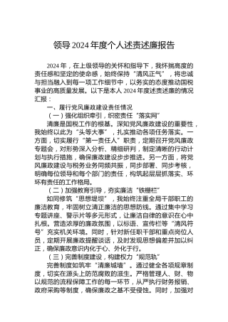 领导2024年度个人述责述廉报告