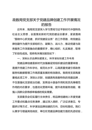 政数局党支部关于党建品牌创建工作开展情况的报告