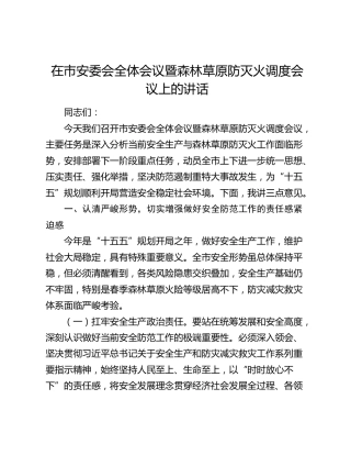 在市安委会全体会议暨森林草原防灭火调度会议上的讲话