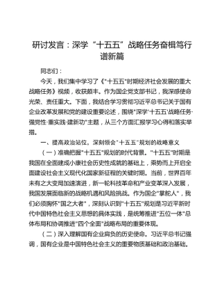 研讨发言：深学“十五五”战略任务 奋楫笃行谱新篇