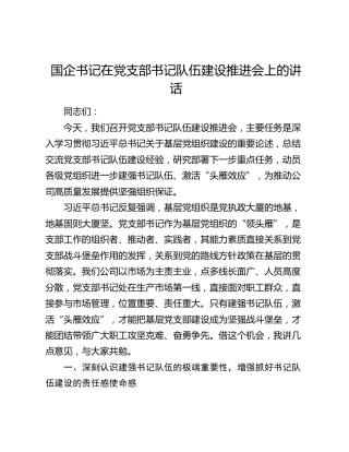 国企书记在党支部书记队伍建设推进会上的讲话